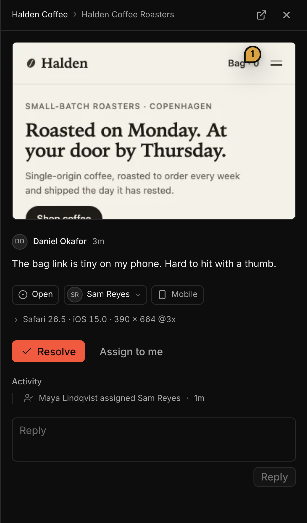 A task on a phone: the snapshot of the Halden site's bag link with pin 1, the client's comment, and Safari on iOS at 390 × 664.